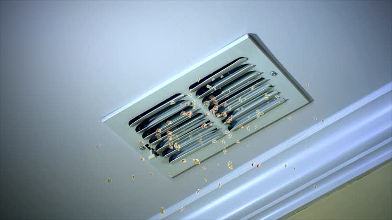 Best Air Duct Cleaning Near Me  in San Clemente, CA